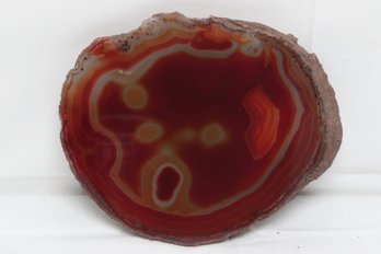 Slice Of Polished Agate