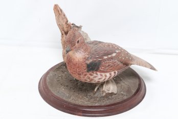 James R. Peacock Hand Carved Bird Decoy On Stand - Signed