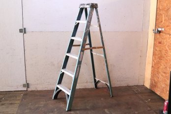 Werner 6' Ladder (Holds Up To 250lbs.)