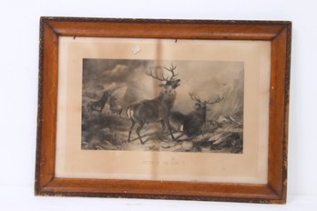 Antique Stag Art ' Victor Of The Glen ' Engraving On Paper By A. LUCAS And Orig. Painted By Sir Edwin Landseer