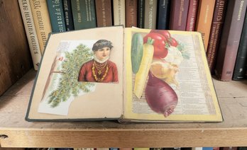 Scrapbook. Victorian Scrapbook With Trade Cards, Chromolithographs, Newspaper Clippings, Poetry, Hobson,