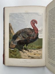 Chromos 1853 The Poultry Book, Wingfield & Johnson, Illustrated By Harrison Weir, With Early Owner Inscription