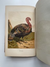 Chromos, 1867 The Poultry Book By W.B. Tegetmeier, Illust. By Harrison Weir, Gilt-Pictorial Cloth, First Ed.