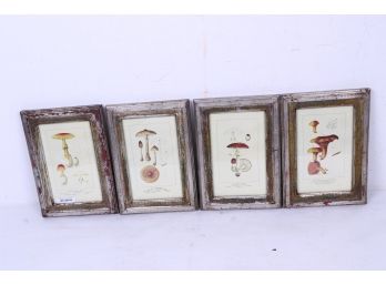 Set Of Four Decorative Mushroom Prints