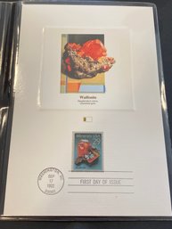 UNITED STATES USA - 1987 C.P.A. - PROOFCARD - FDI