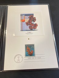 UNITED STATES USA - 1987 C.P.A. - PROOFCARD - FDI