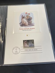 UNITED STATES USA - 1987 C.P.A. - PROOFCARD - FDI