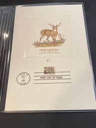 UNITED STATES USA - 1987 C.P.A. - PROOFCARD - FDI