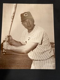 Johnny Bench Baseball Photo. 11x14