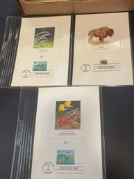 UNITED STATES USA - 1987 C.P.A. - PROOFCARD - FDI - Lot Of 3