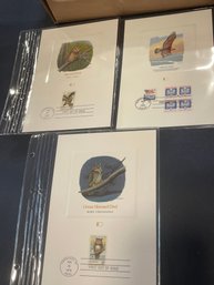 UNITED STATES USA - 1987 C.P.A. - PROOFCARD - FDI - Lot Of 3