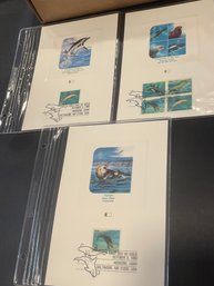 UNITED STATES USA - 1987 C.P.A. - PROOFCARD - FDI - Lot Of 3