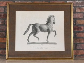Framed Vintage Domenico Marchetti Cavallo Print