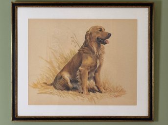 Framed Golden Retriever Print - Elliot