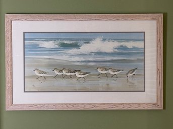Framed Piping Plover Print - Jacqueline Penney