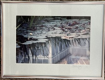 Framed Photograph Of A Lilly Pond - Frame Is 16' X 12' Signed Lower Right