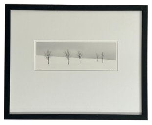 Well Framed & Matted Color Photo By Jon Olsen 'Five Trees',  21-1/8'H X 17-1/8'