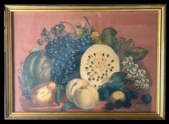Antique Framed Hand-Colored Print Of Fruit Still Life, 19' X 13.25'H