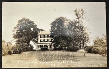 Real Photo Postcard By Edw. Herbener Of 'Delaware Experimental Farm, Newark, Delaware'