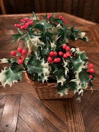 Holly Basket