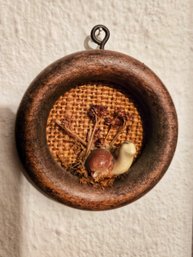 Petite Snail Wall Curiosity 3inch Round