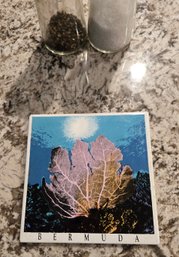 Bermuda Coral Hotplate