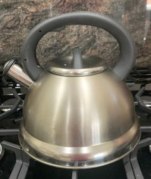 Stainless Steel Tea Kettle