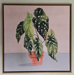Elephant Ear Polka Print