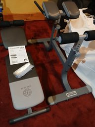Gold's Gym XR 5.9 And Lamar  Multi Hyperextension Machine - In Great Shape