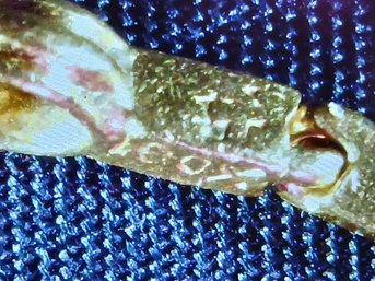 Gold: 18K Acid Test 25.5 Inch Necklace - Marked With 100% & Hallmarked With A Cross  29.4g, 0.945ozt, 18.9 Dwt