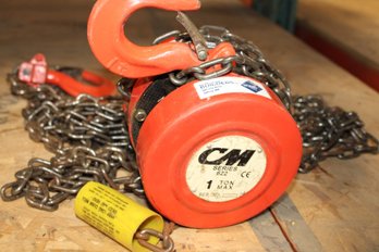 Cm Series 622 1 Ton Chainfall Hoist (#2)