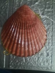 #20 Shell Trinket Box