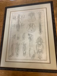 ORIGINAL J AND P KNAPTON ENGRAVING 1750S