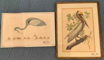 2  Framed Prints Of Birds
