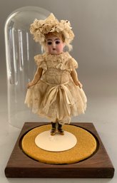 7  Bisque Head Doll