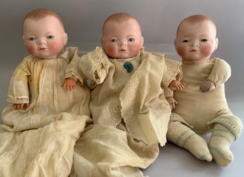 3  Grace S Putnam Bisque Head   Bye-Lo-Baby Dolls