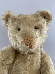 20 Blonde Steiff Jointed Mohair Bear