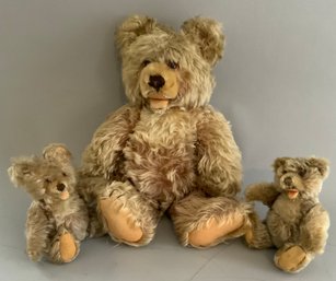 3  Steiff Bears