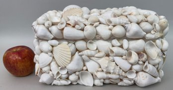 Natural Shell Box