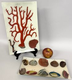 Two Signed John Derian Decoupage Trays