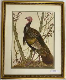 Framed Art Work Turkey